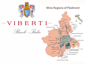 Viberti Piemonte