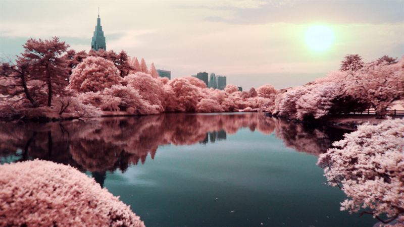 Tokyo SAS